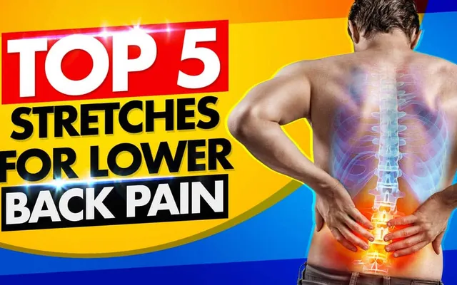 Eliminate or Relieve Lower Back Pain w/. These TOP 5 Stretches!