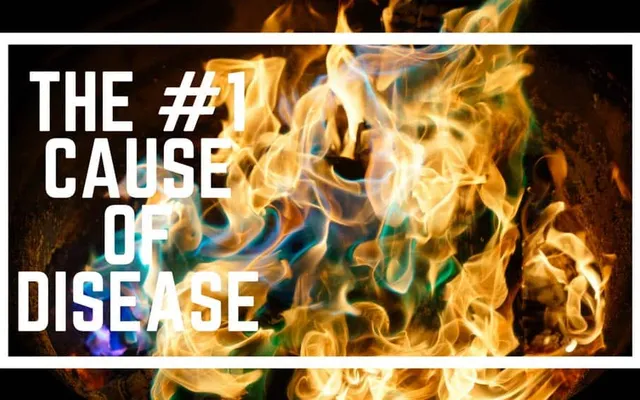 Chronic Inflammation is the #1 Cause of Disease